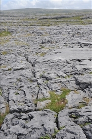 Burren